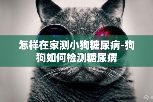 怎樣在家測小狗糖尿病-狗狗如何檢測糖尿病