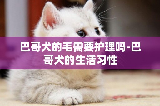 巴哥犬的毛需要護理嗎-巴哥犬的生活習性