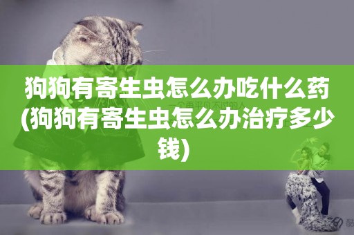 狗狗有寄生蟲怎么辦吃什么藥(狗狗有寄生蟲怎么辦治療多少錢) 