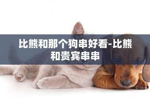 比熊和那個狗串好看-比熊和貴賓串串