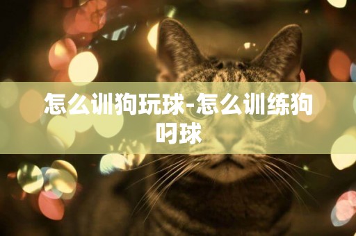 怎么訓狗玩球-怎么訓練狗叼球