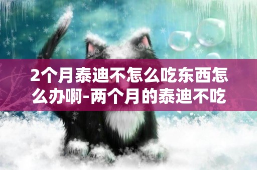 2個月泰迪不怎么吃東西怎么辦啊-兩個月的泰迪不吃東西怎么辦