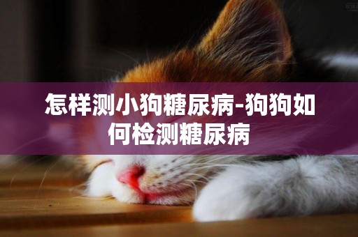 怎樣測小狗糖尿病-狗狗如何檢測糖尿病