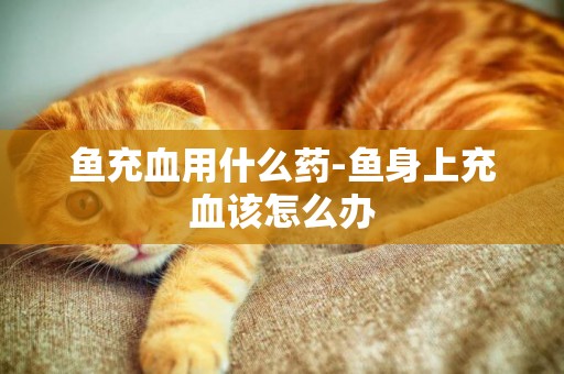 魚充血用什么藥-魚身上充血該怎么辦