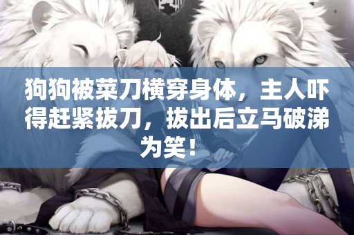 狗狗被菜刀橫穿身體，主人嚇得趕緊拔刀，拔出后立馬破涕為笑！ 
