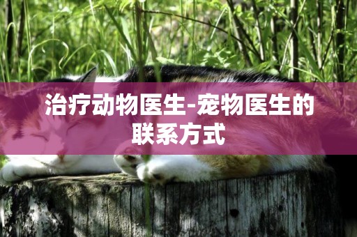 治療動物醫生-寵物醫生的聯系方式