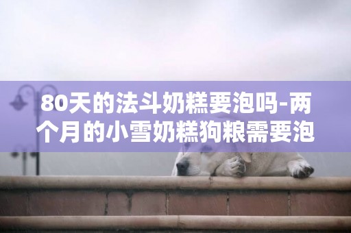80天的法斗奶糕要泡嗎-兩個月的小雪奶糕狗糧需要泡嗎