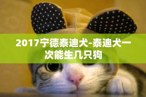 2017寧德泰迪犬-泰迪犬一次能生幾只狗