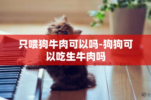 只喂狗牛肉可以嗎-狗狗可以吃生牛肉嗎