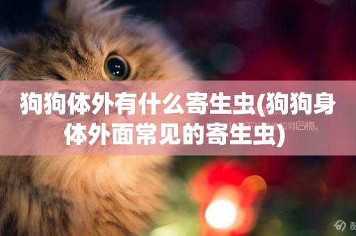 狗狗體外有什么寄生蟲(狗狗身體外面常見的寄生蟲) 