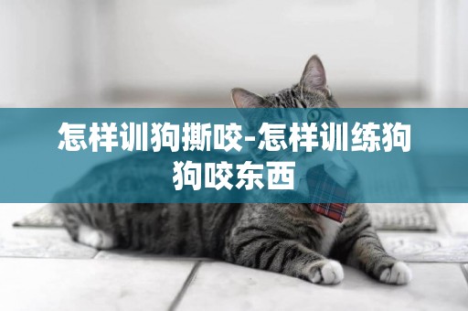 怎樣訓狗撕咬-怎樣訓練狗狗咬東西