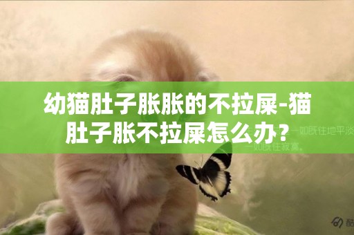幼貓肚子脹脹的不拉屎-貓肚子脹不拉屎怎么辦？