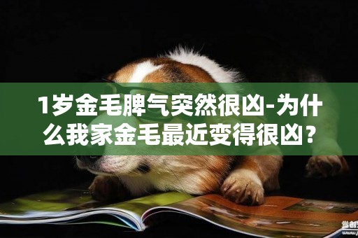 1歲金毛脾氣突然很兇-為什么我家金毛最近變得很兇？