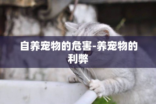 自養寵物的危害-養寵物的利弊