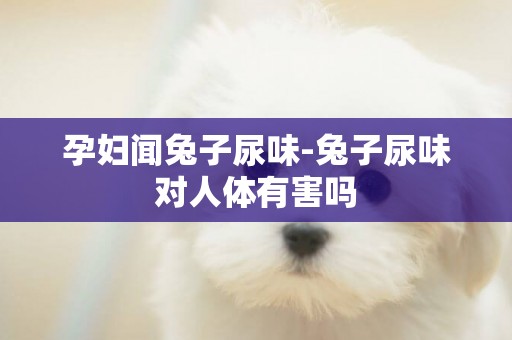 孕婦聞兔子尿味-兔子尿味對人體有害嗎
