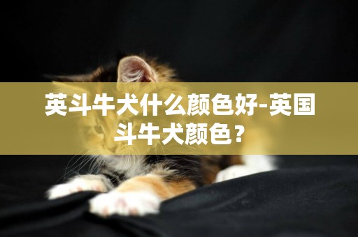 英斗牛犬什么顏色好-英國斗牛犬顏色？