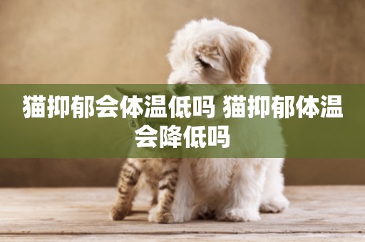 貓抑郁會體溫低嗎 貓抑郁體溫會降低嗎