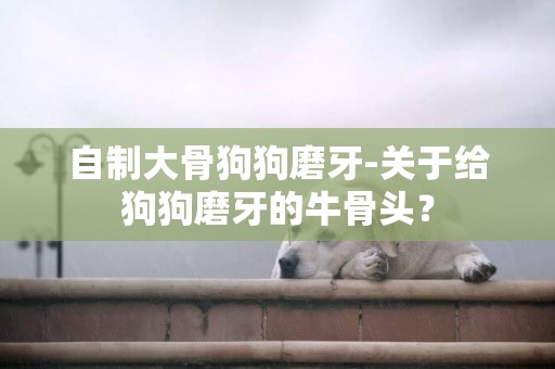 自制大骨狗狗磨牙-關于給狗狗磨牙的牛骨頭？