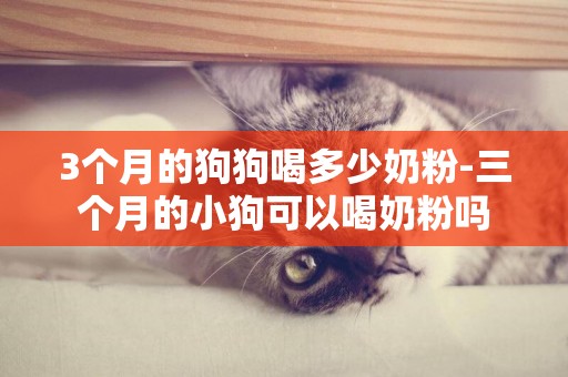 3個月的狗狗喝多少奶粉-三個月的小狗可以喝奶粉嗎