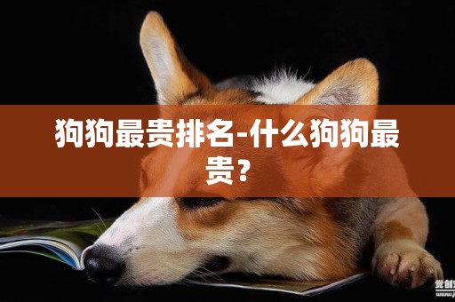 狗狗最貴排名-什么狗狗最貴？