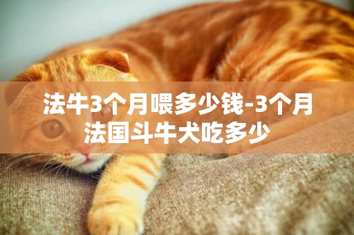 法牛3個月喂多少錢-3個月法國斗牛犬吃多少