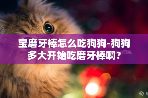 寶磨牙棒怎么吃狗狗-狗狗多大開始吃磨牙棒啊？
