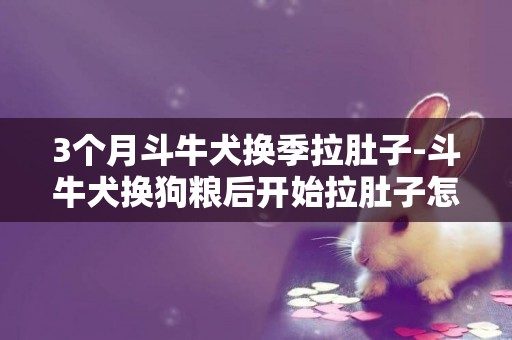 3個月斗牛犬換季拉肚子-斗牛犬換狗糧后開始拉肚子怎么辦