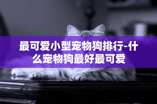 最可愛小型寵物狗排行-什么寵物狗最好最可愛