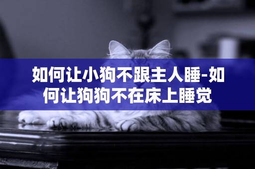 如何讓小狗不跟主人睡-如何讓狗狗不在床上睡覺