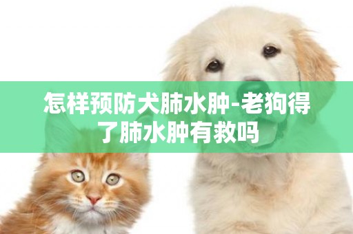 怎樣預防犬肺水腫-老狗得了肺水腫有救嗎