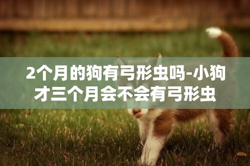 2個月的狗有弓形蟲嗎-小狗才三個月會不會有弓形蟲