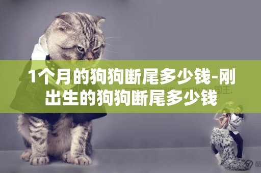 1個月的狗狗斷尾多少錢-剛出生的狗狗斷尾多少錢