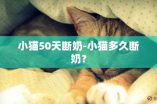 小貓50天斷奶-小貓多久斷奶？