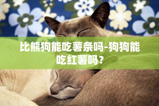 比熊狗能吃薯條嗎-狗狗能吃紅薯嗎？