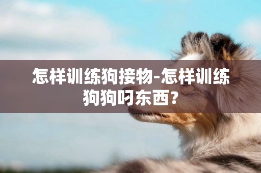 怎樣訓練狗接物-怎樣訓練狗狗叼東西？