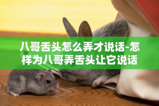 八哥舌頭怎么弄才說話-怎樣為八哥弄舌頭讓它說話