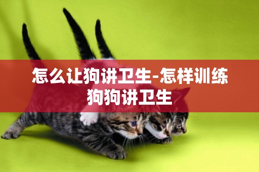 怎么讓狗講衛生-怎樣訓練狗狗講衛生