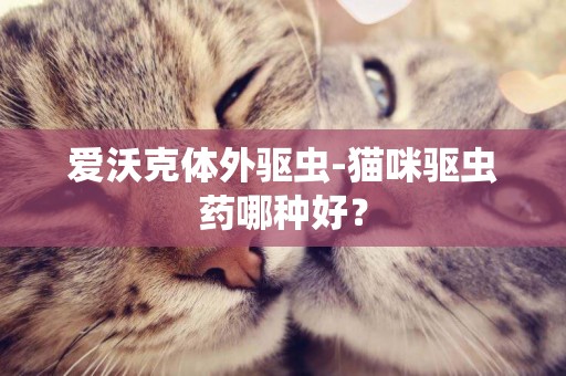 愛沃克體外驅蟲-貓咪驅蟲藥哪種好？