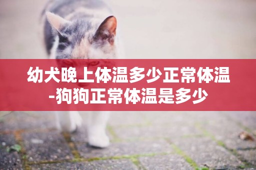 幼犬晚上體溫多少正常體溫-狗狗正常體溫是多少