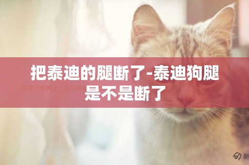 把泰迪的腿斷了-泰迪狗腿是不是斷了
