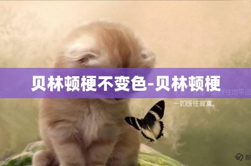 貝林頓梗不變色-貝林頓梗