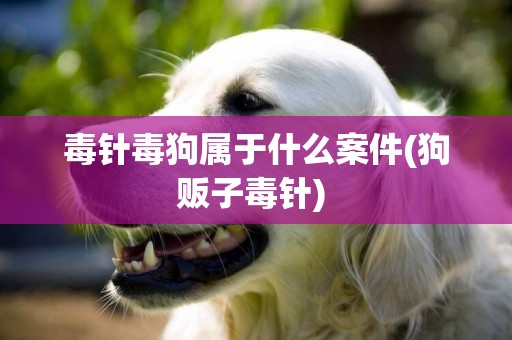 毒針毒狗屬于什么案件(狗販子毒針) 
