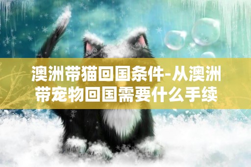澳洲帶貓回國條件-從澳洲帶寵物回國需要什么手續