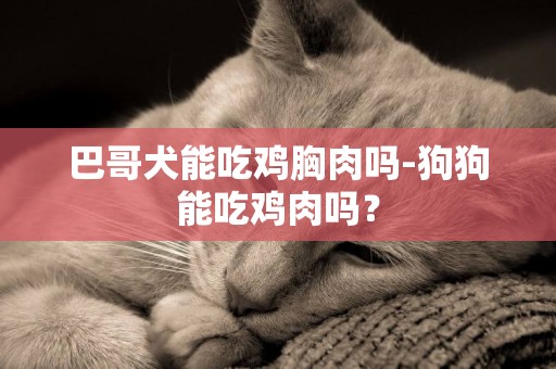 巴哥犬能吃雞胸肉嗎-狗狗能吃雞肉嗎？