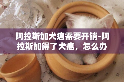 阿拉斯加犬瘟需要開銷-阿拉斯加得了犬瘟，怎么辦