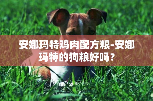 安娜瑪特雞肉配方糧-安娜瑪特的狗糧好嗎？