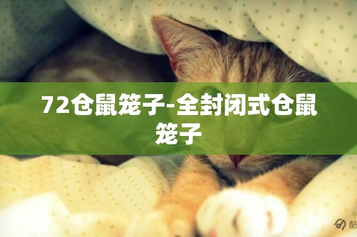 72倉鼠籠子-全封閉式倉鼠籠子