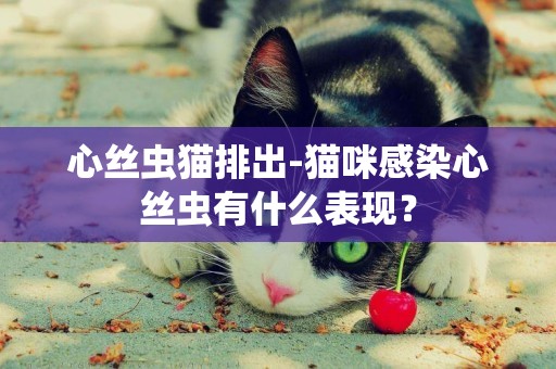 心絲蟲貓排出-貓咪感染心絲蟲有什么表現？