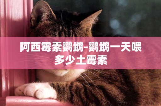 阿西霉素鸚鵡-鸚鵡一天喂多少土霉素