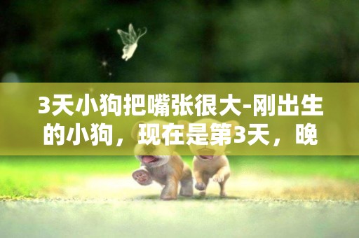 3天小狗把嘴張很大-剛出生的小狗，現在是第3天，晚上在那躺著一動不動，但是嘴巴一張一張的，請問這是在